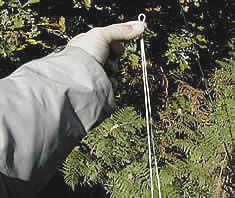 Hold loop between thumb & forefinger when threading fly line.  