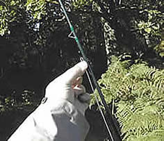 Use the rod blank as a guide when threading fly line.