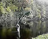 The weight of the fly line in the D Loop assists the rod spring as the cast takes place.