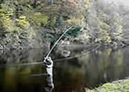 The D loop (so called because of the shape of the rod & fly line behind the angler).